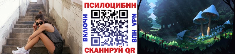 Псилоцибиновые грибы мицелий  наркошоп  Борисоглебск 